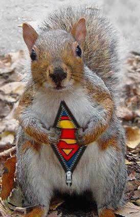 Super Snooks